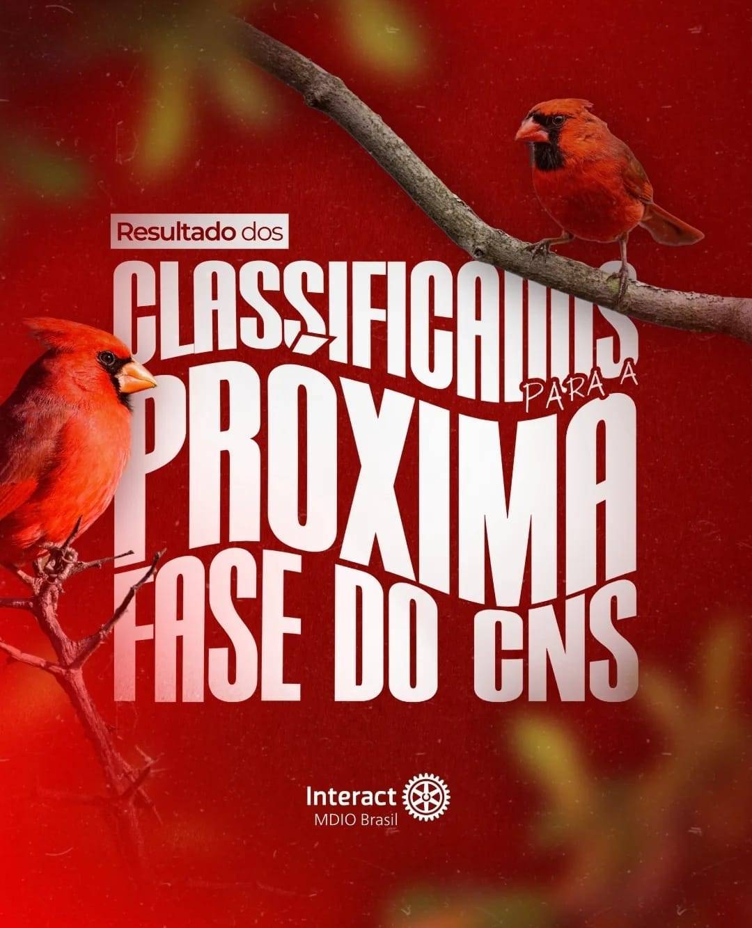 Confira os classificados para a próxima fase do CNS