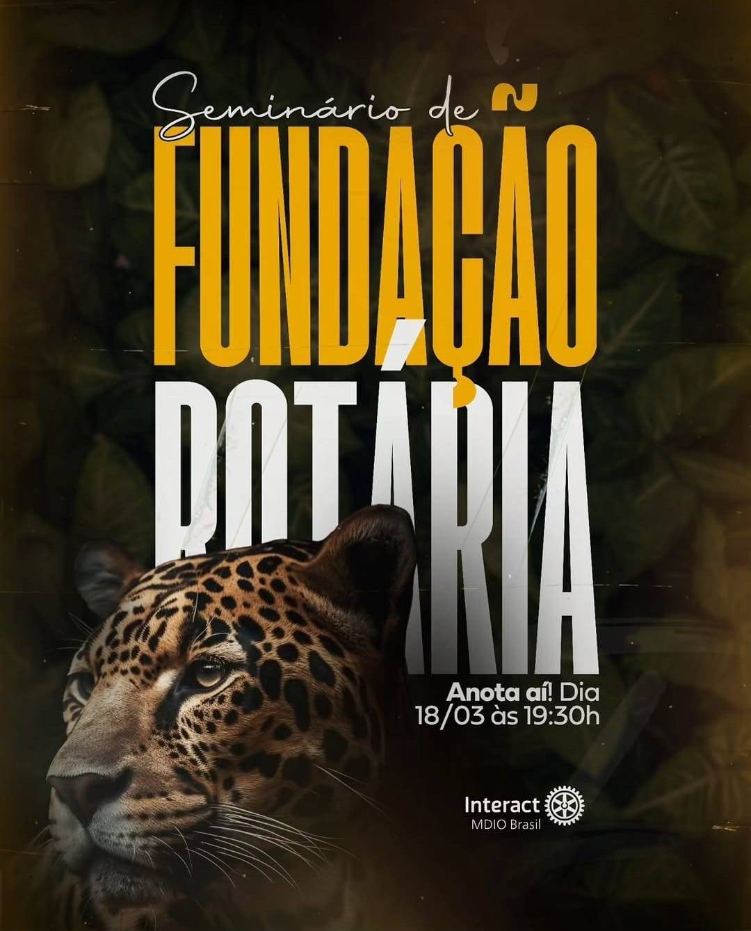 MDIO Interact Br promove Seminário de Fundação Rotária