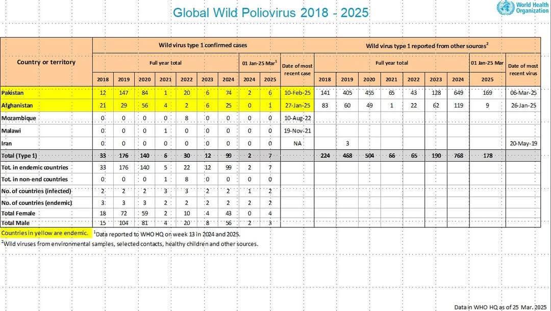 Nenhum novo caso registrado do vírus selvagem da poliomielite.