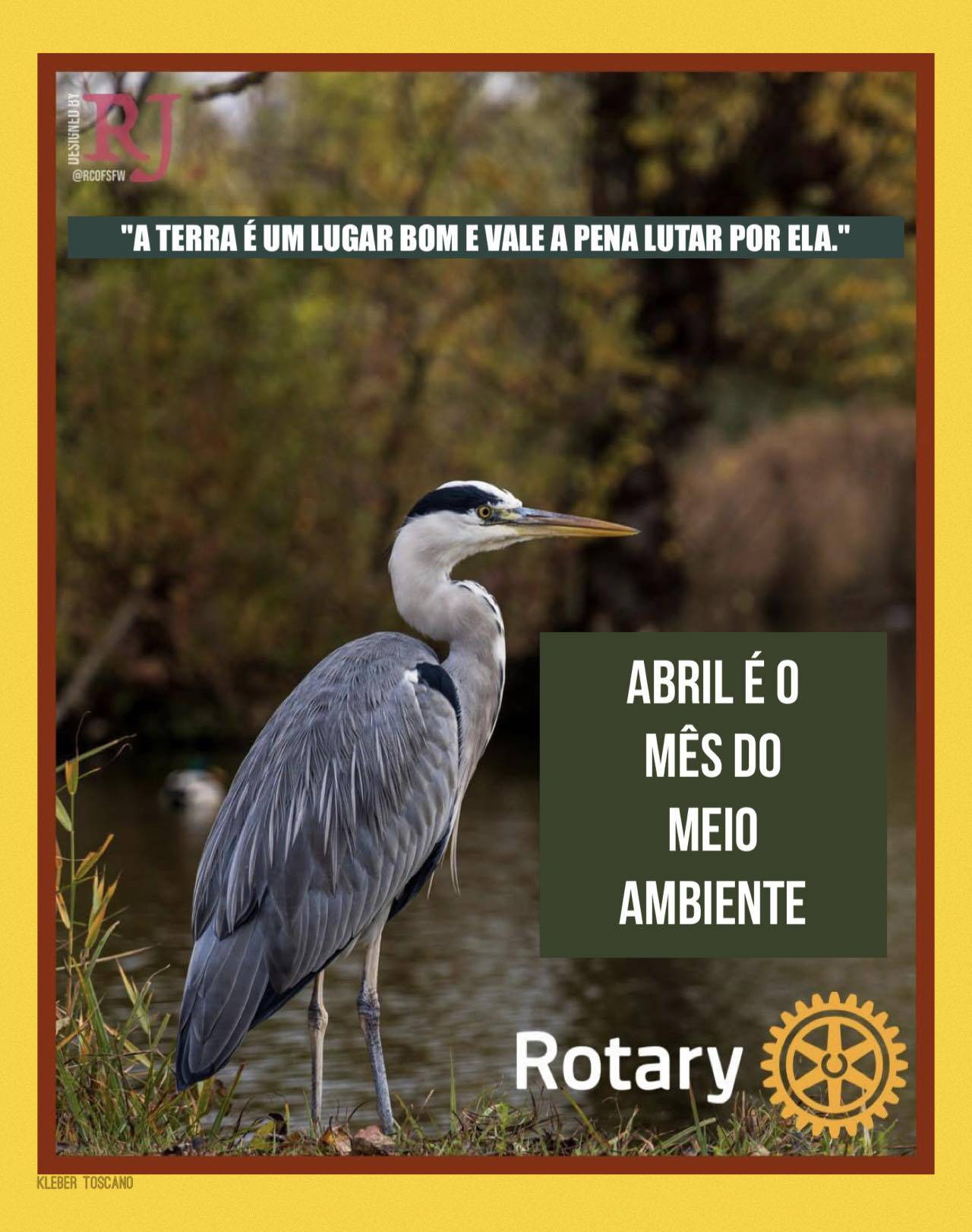 MÊS DO MEIO AMBIENTE