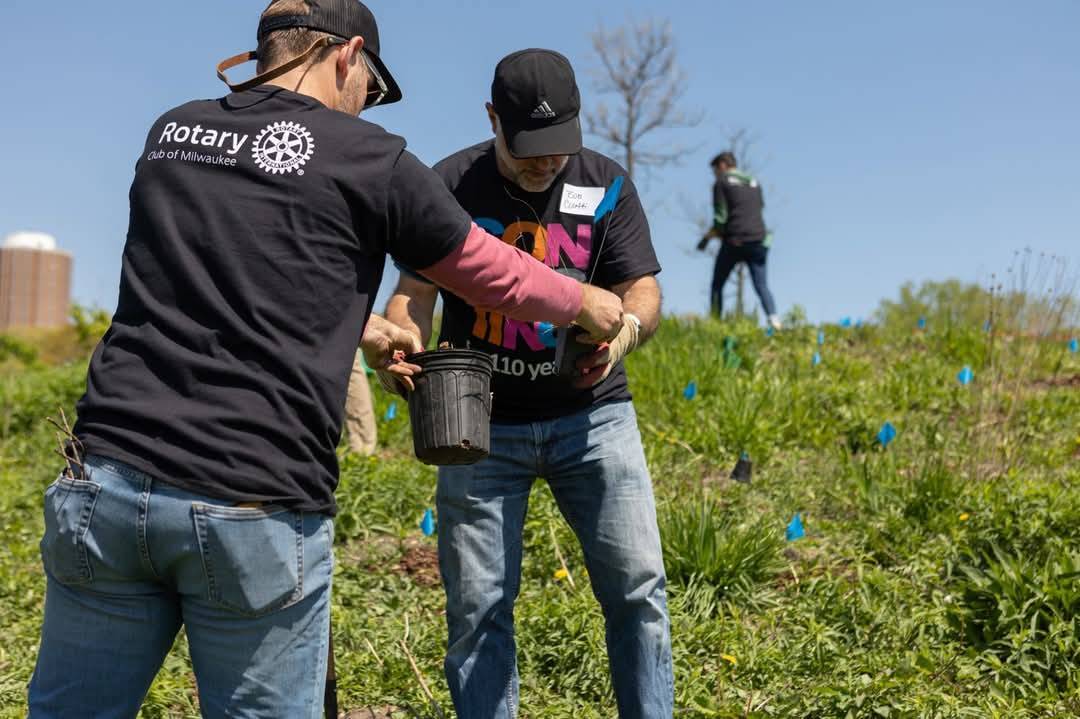 Abril é o Mês do Meio Ambiente no Rotary