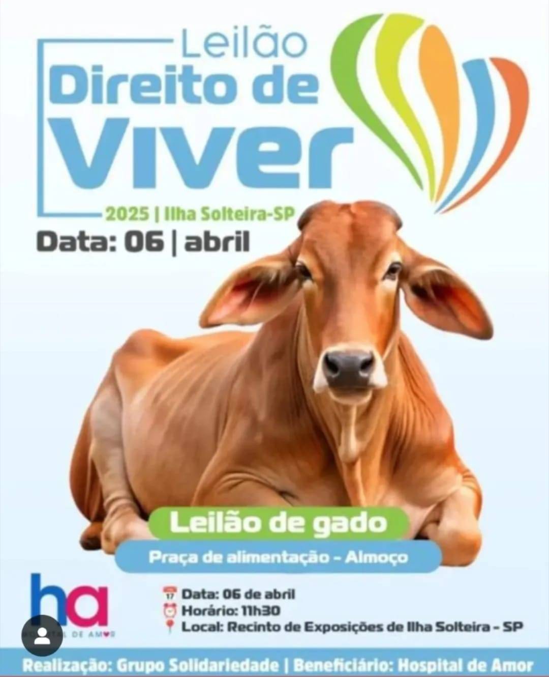 LEILÃO DIREITO DE VIVER, 06/04/2025