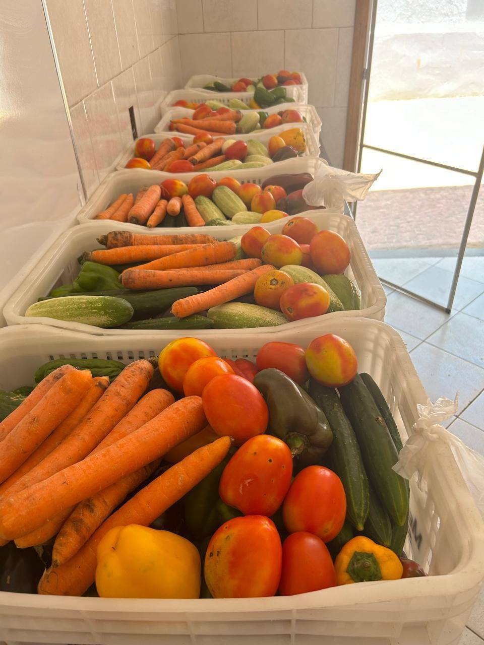 PARCERIAS E O INFINITY