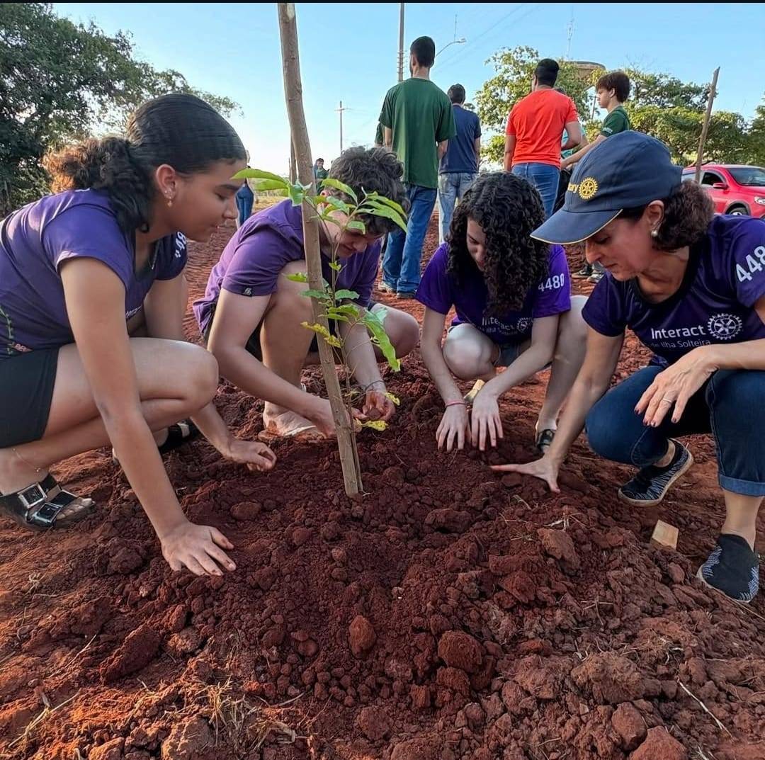 Interact Club de Ilha Solteira planta 20 mudas de árvores em um espaço disponibilizado pela Prefeitura
