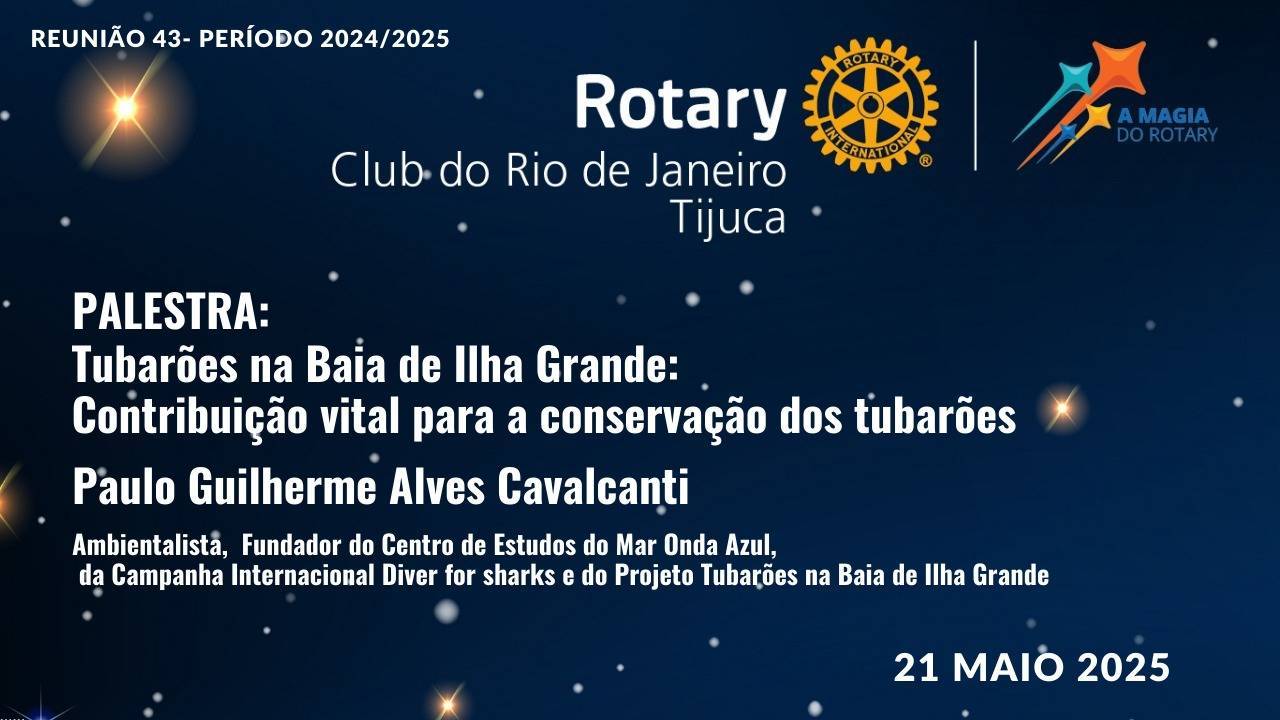 Por Siomara Castro Presidente da Comissão de Imagem Pública