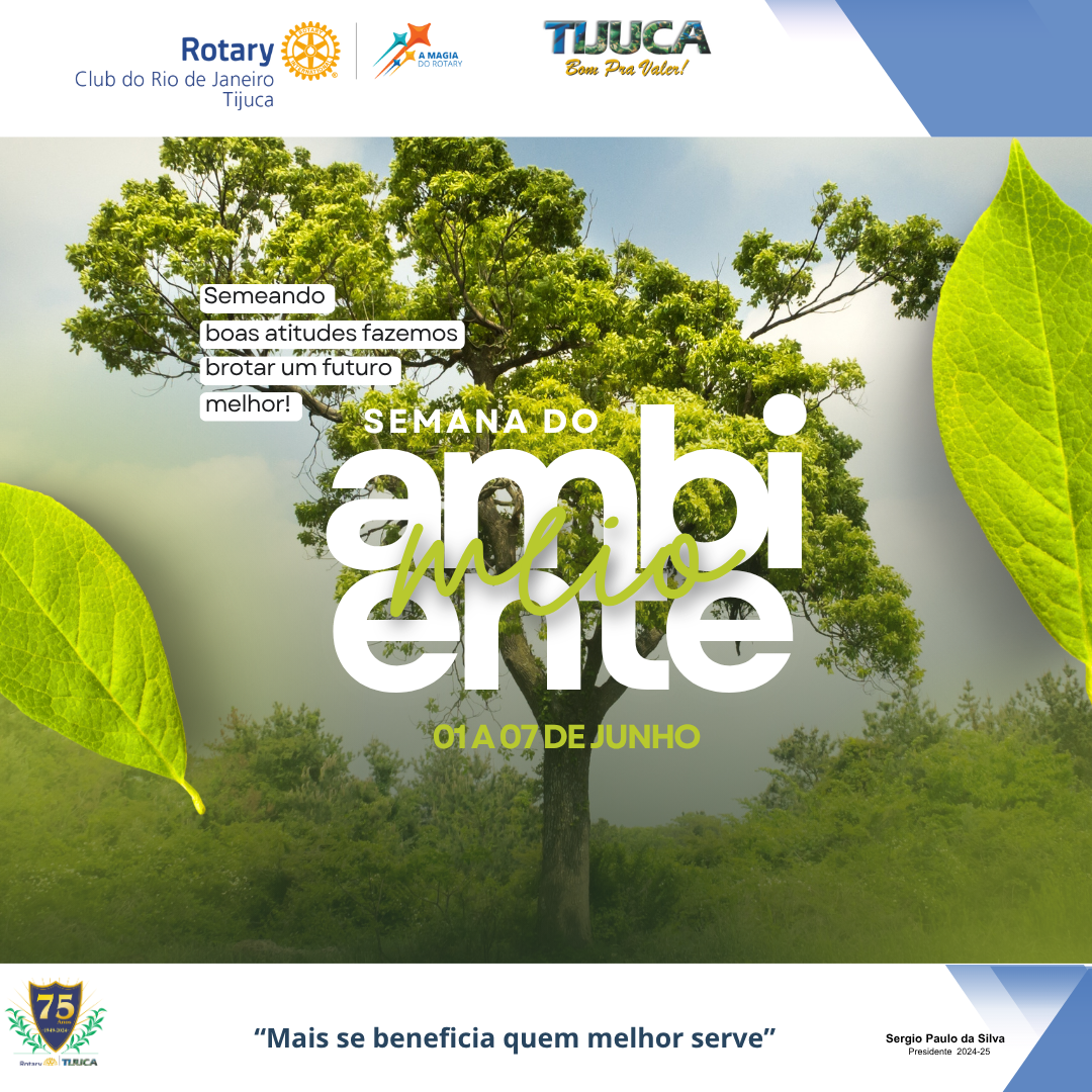 Por Siomara Castro Presidente da Comissão de Imagem Pública