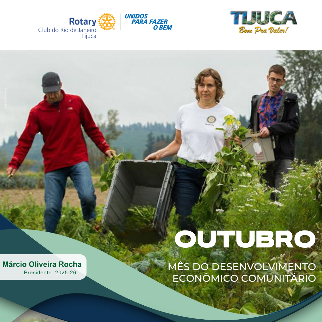 Por Siomara Castro Presidente da Comissão de Imagem Pública