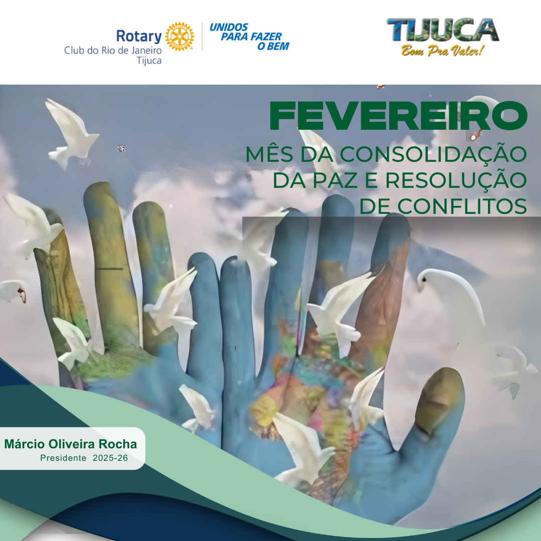 Por Siomara Castro Presidente da Comissão de Imagem Pública