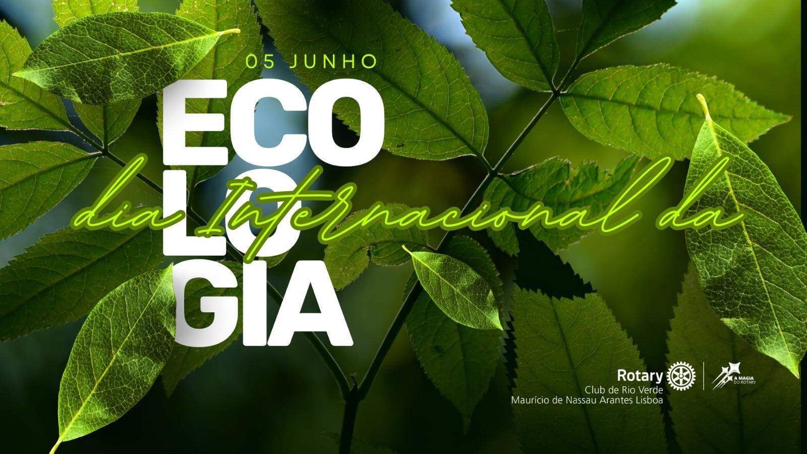 Dia Internacional da Ecologia / Dia Mundial do Meio Ambiente – 5 de Junho