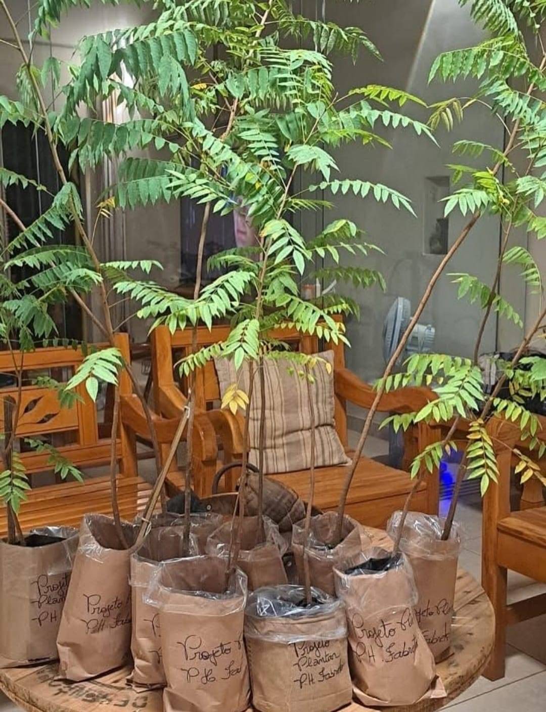 Rotary Club de Santa Adélia  agradece ao amigo PH, Gestor Ambiental e fundador do Projeto Plantar