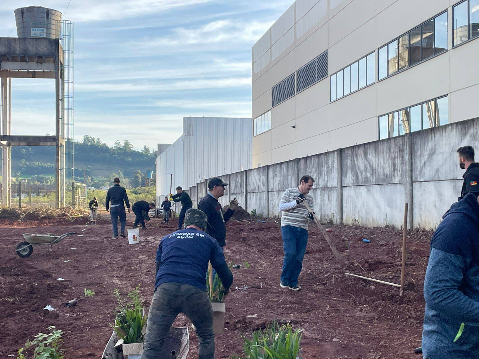 Plantio de árvores nativas