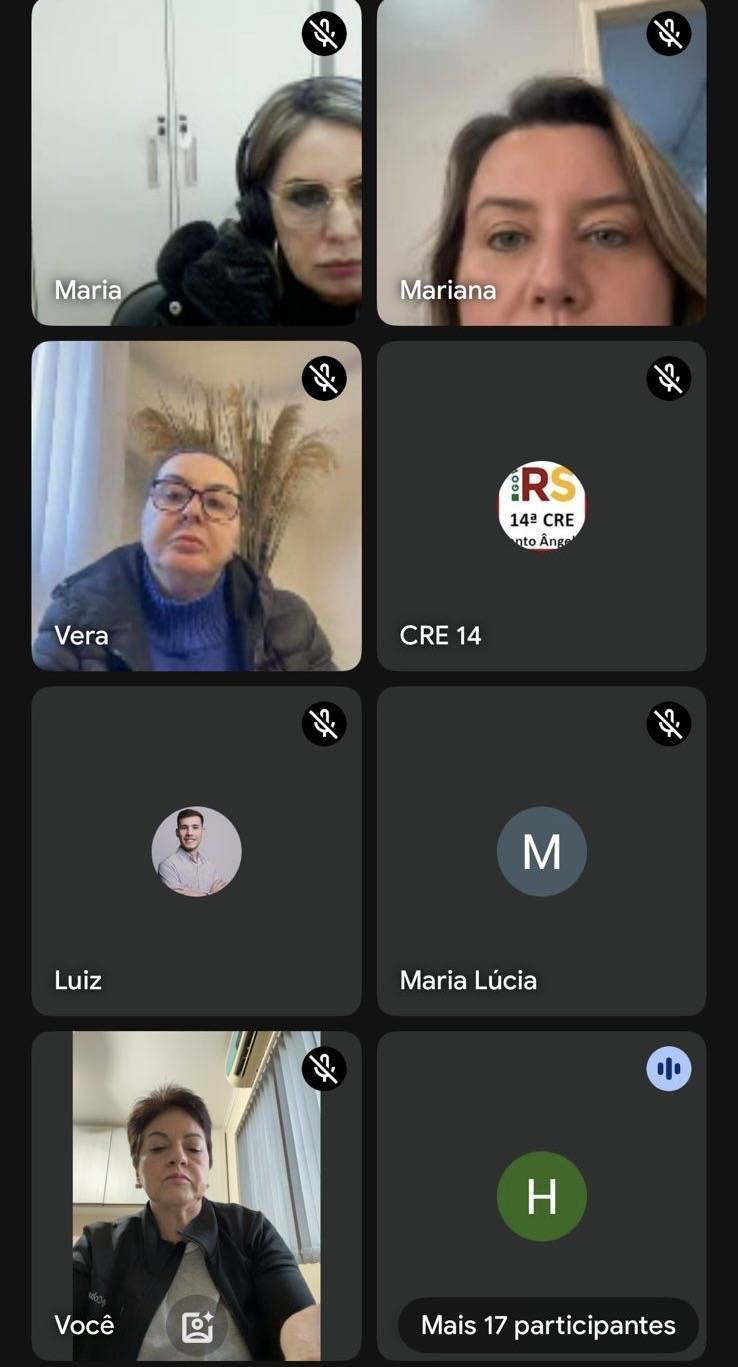 Companheiras do Rotary Clube Cruz de Lorena e coordenadoras da 14ª CRE-RS se reúnem on-line para o lançamento do projeto 