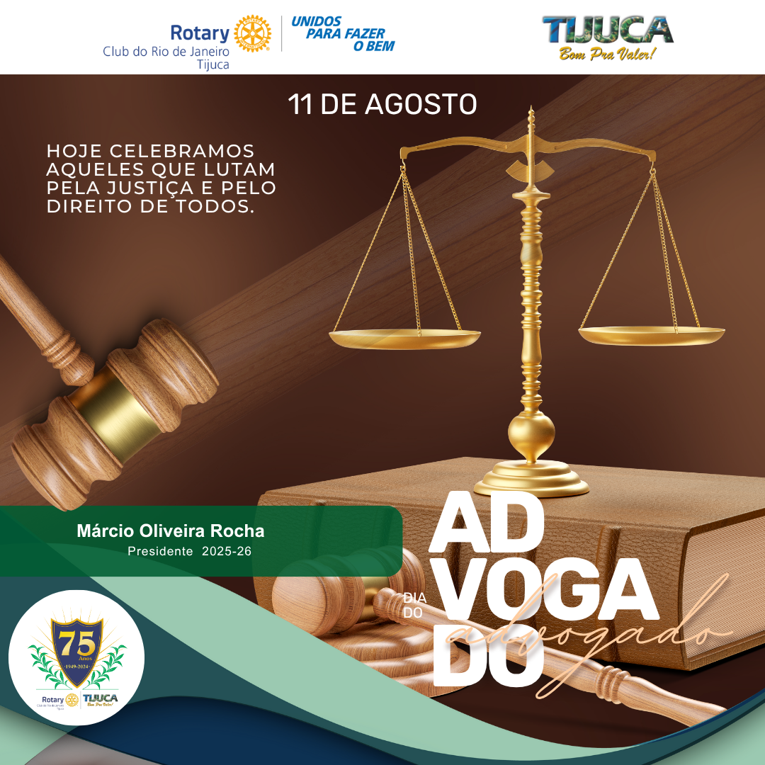 Por Siomara Castro Presidente da Comissão de Imagem Pública