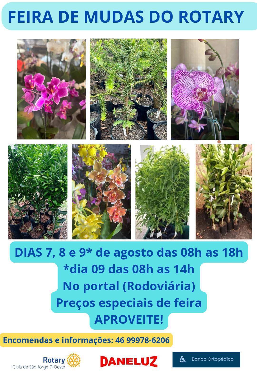 Feira de mudas 2025.