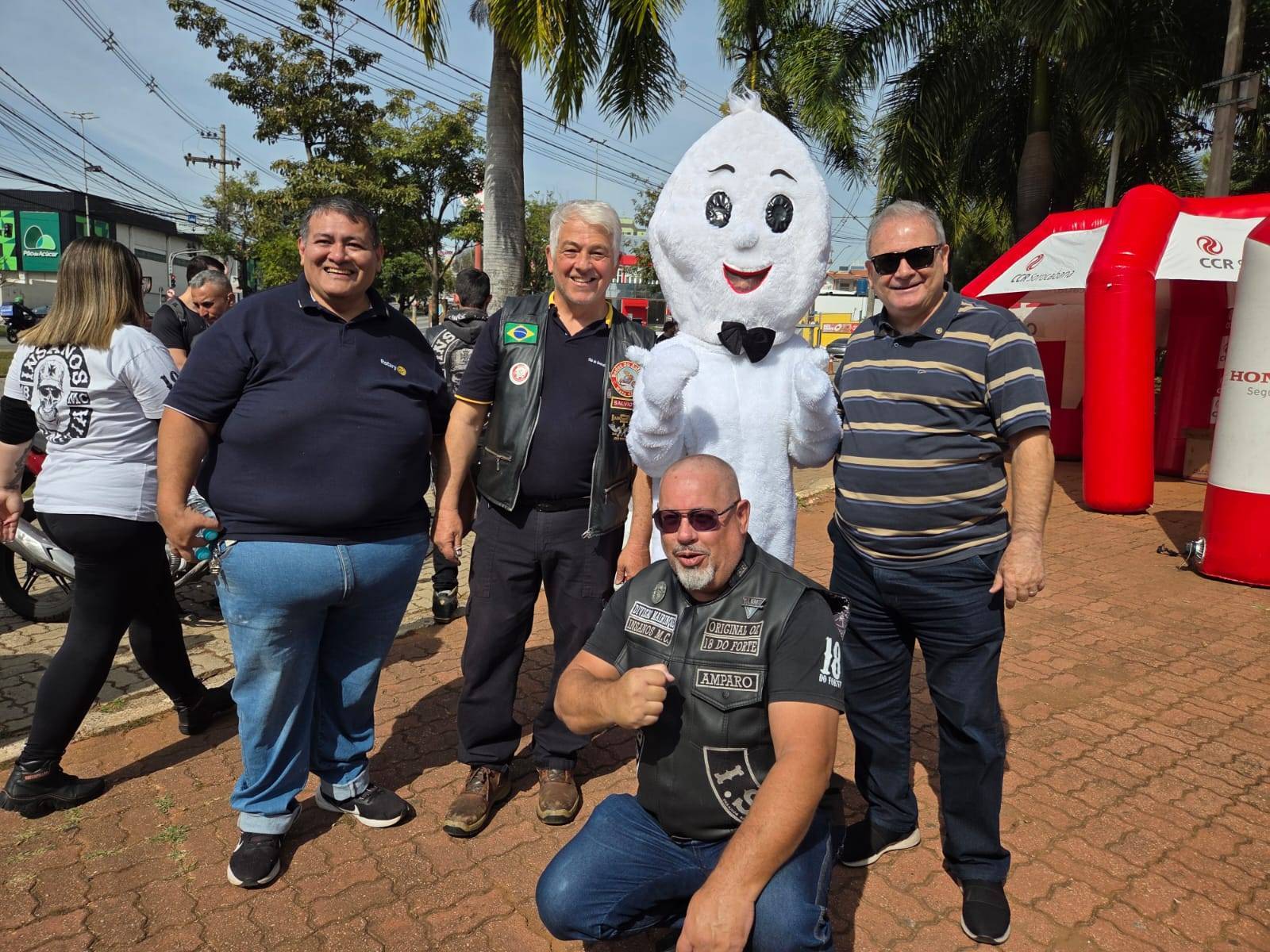 Projete Pilote Seguro 