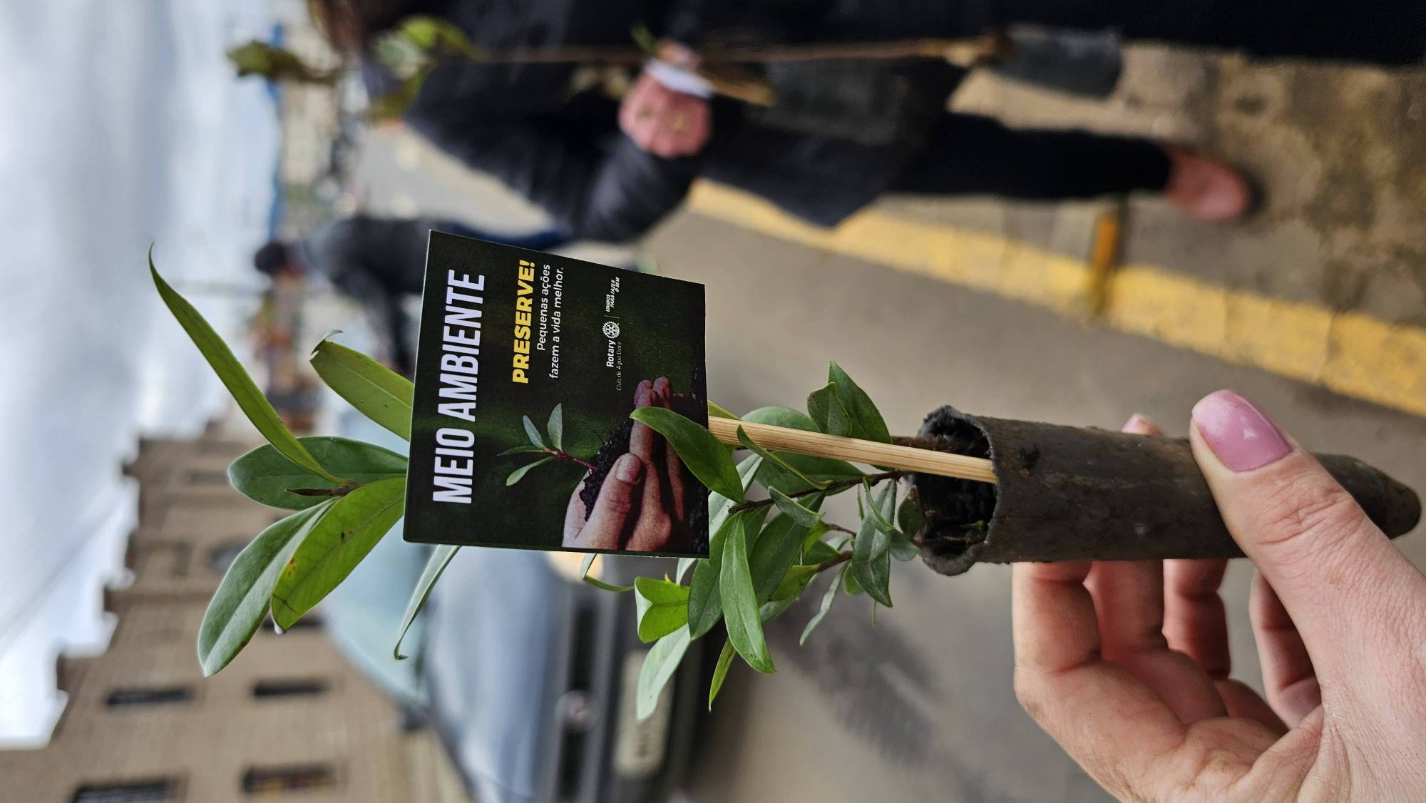 Pedágio Solidário do Rotary e entrega de Mudas Nativas