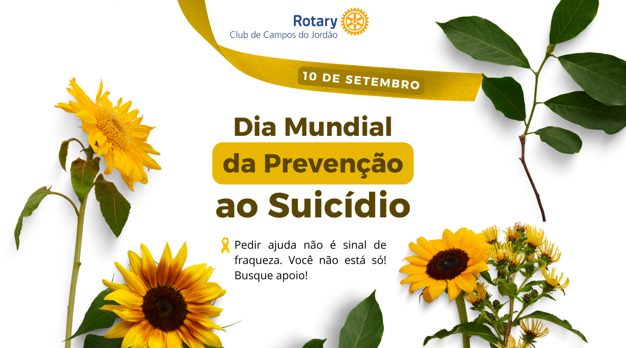 Notícia incluída por Lucia Rodrigues Alves, comissão de imagem pública 