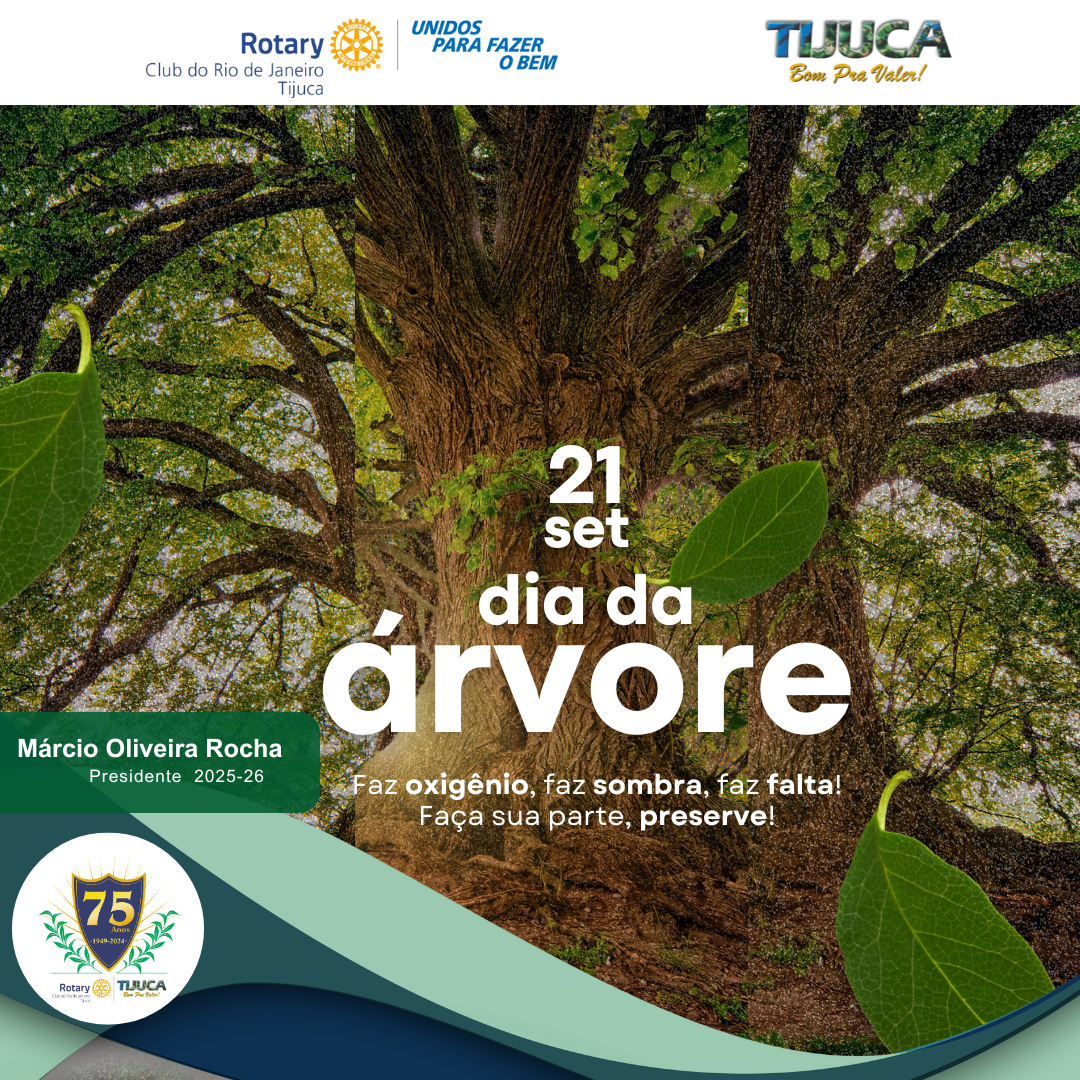 Por Siomara Castro Presidente da Comissão de Imagem Pública