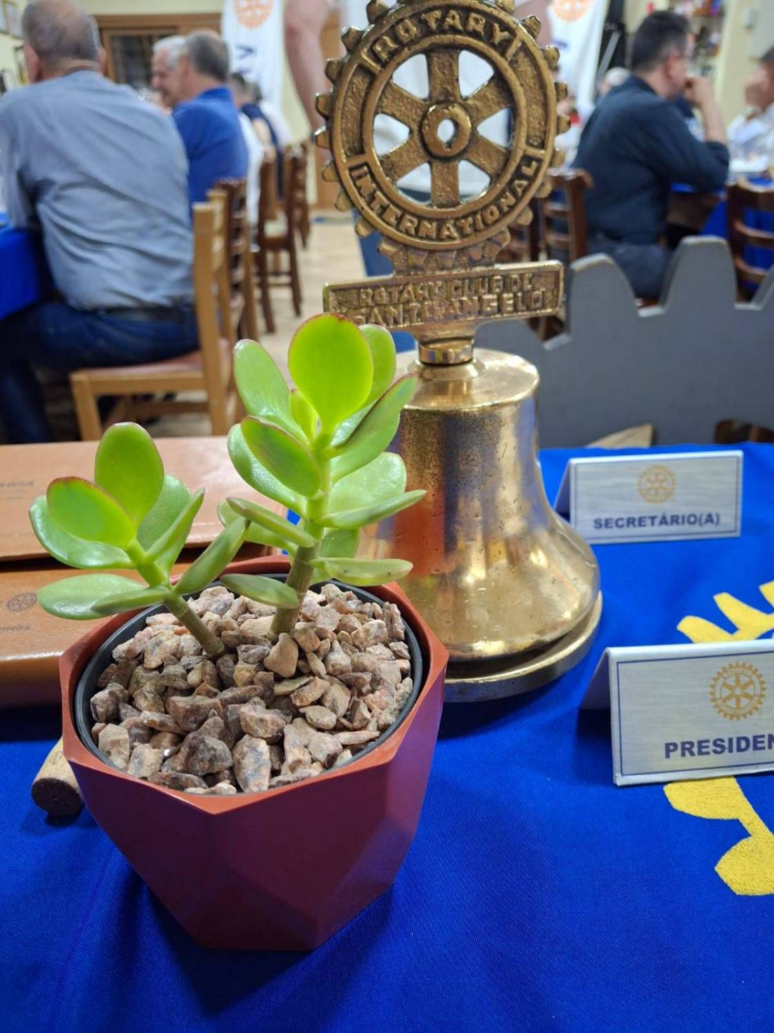 🌳💚 Dia da Árvore – 21 de setembro 💚🌳