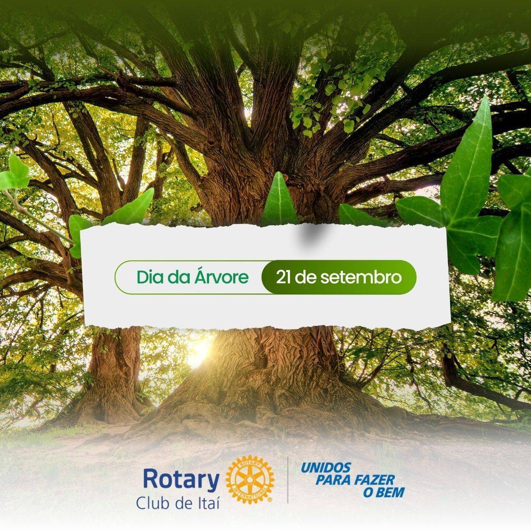  21 de setembro - Dia da Árvore.