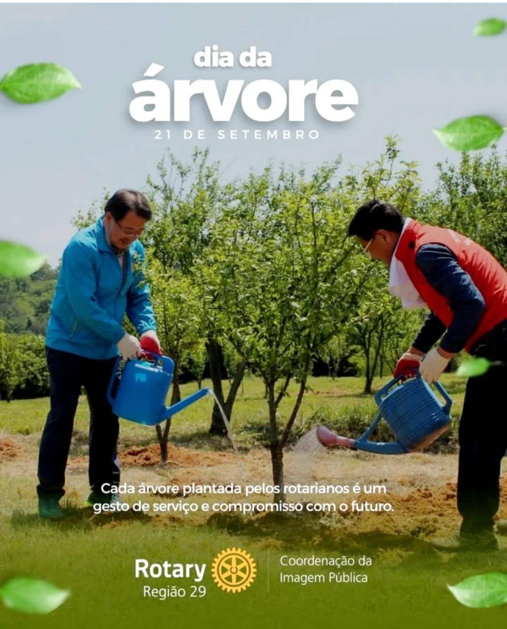 Dia Mundial da Arvore 