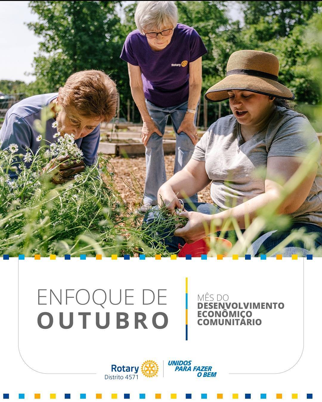 Por Siomara Castro Presidente da Comissão Distrital da Imagem Pública