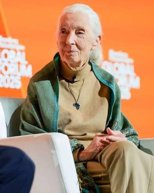 Essa visão encontrou eco no Rotary. Em 2009, Jane Goodall emocionou milhares de rotarianos durante a Convenção Internacional em Birmingham, Inglaterra, lembrando que nossas redes de contato e nossa capacidade de agir em conjunto podem transformar o mundo. Para ela, Rotary e Instituto Jane Goodall compartilhavam a mesma essência: construir esperança e mobilizar pessoas para o bem comum.