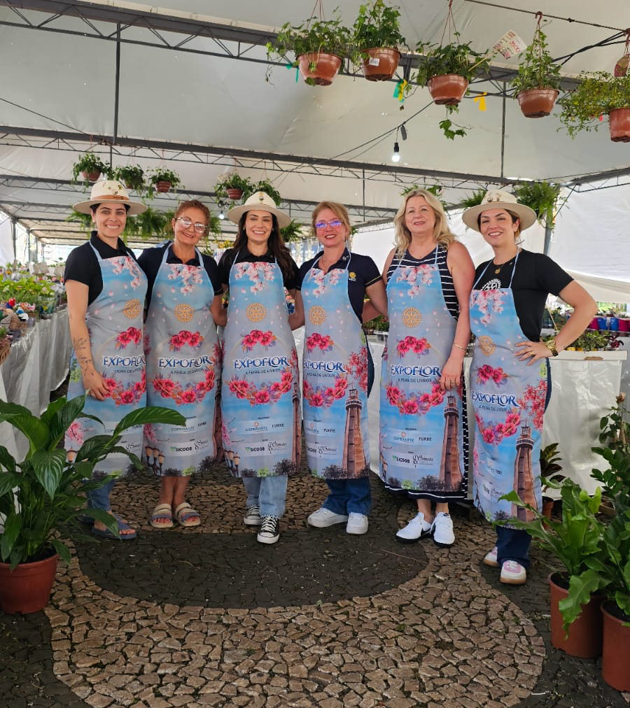 Ivonete Balduino, Lisete luza, Thais Candeia Baseggio, Thalita Grando Rauen, Marisa Vissini e Jerusa Baseggio