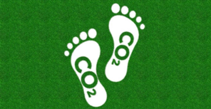 PROJETO PEGADAS DE CARBONO