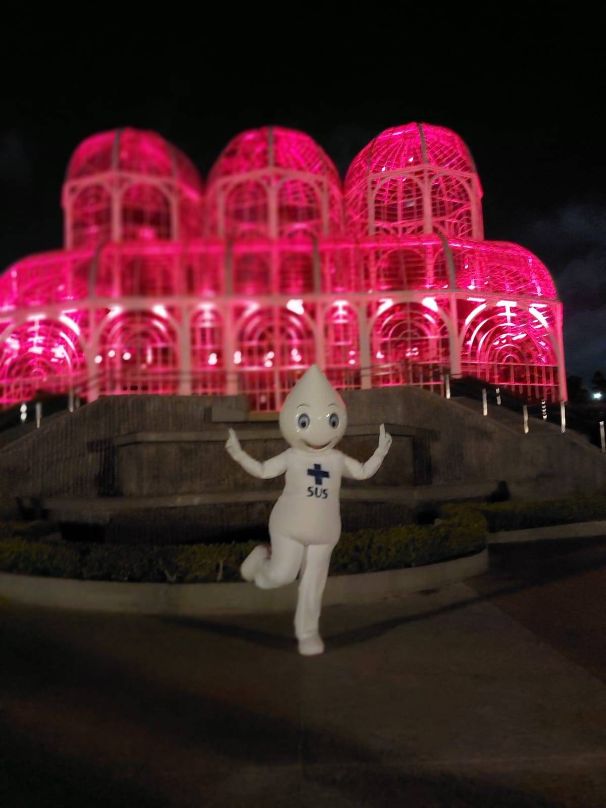 ILUMINANDO CONTRA A PÓLIO