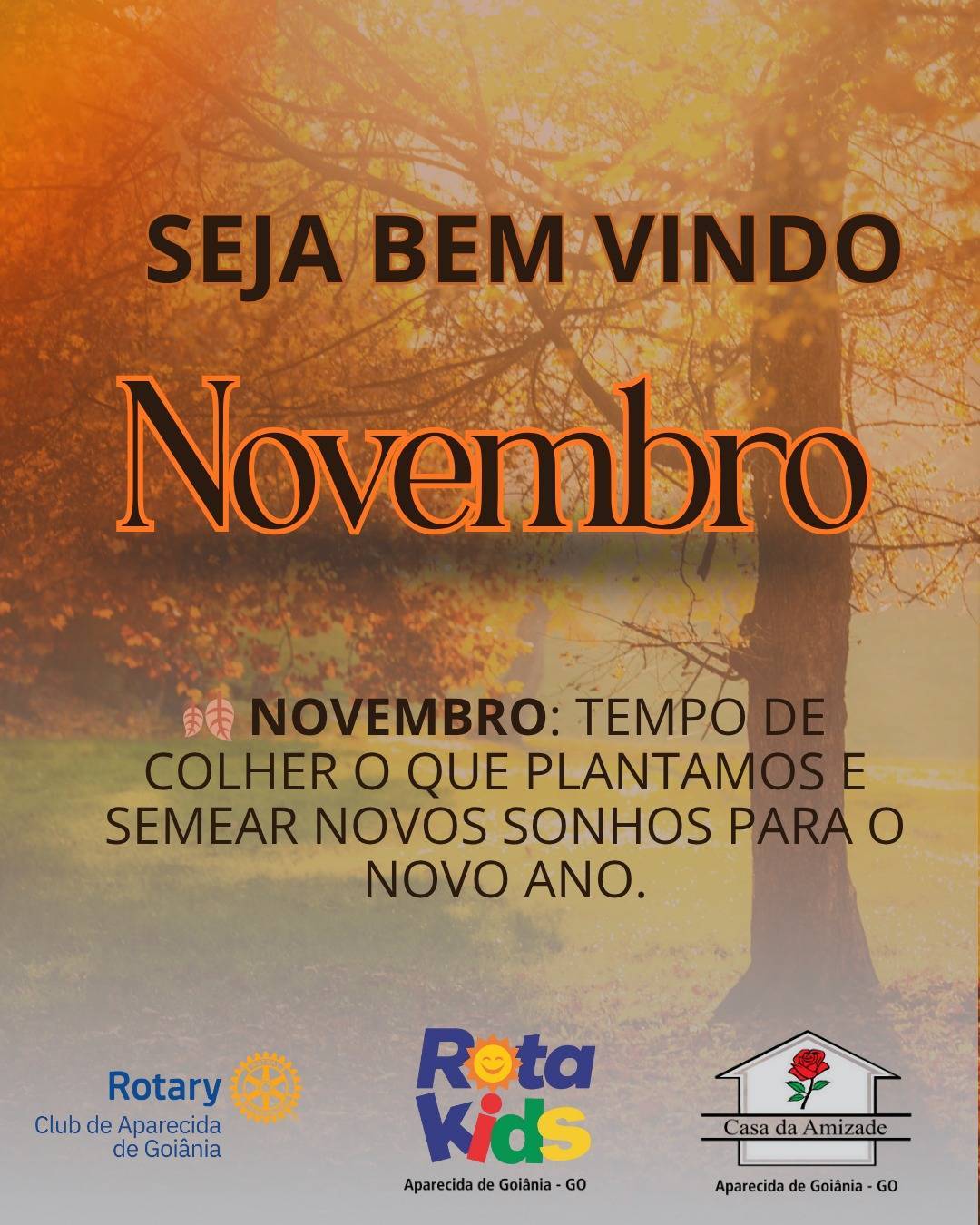 Bem-vindo, novembro! 💛 Que este mês traga novas oportunidades de servir, crescer e espalhar o bem. ✨