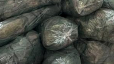 12/10/2025 Dia das Crianças