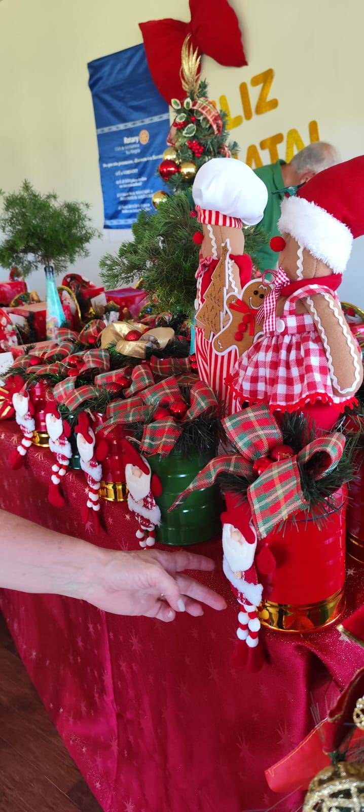 FESTA DE CONFRATERNIZAÇÃO DO ROTARY CLUB DE MEDIANEIRA RIO ALEGRIA