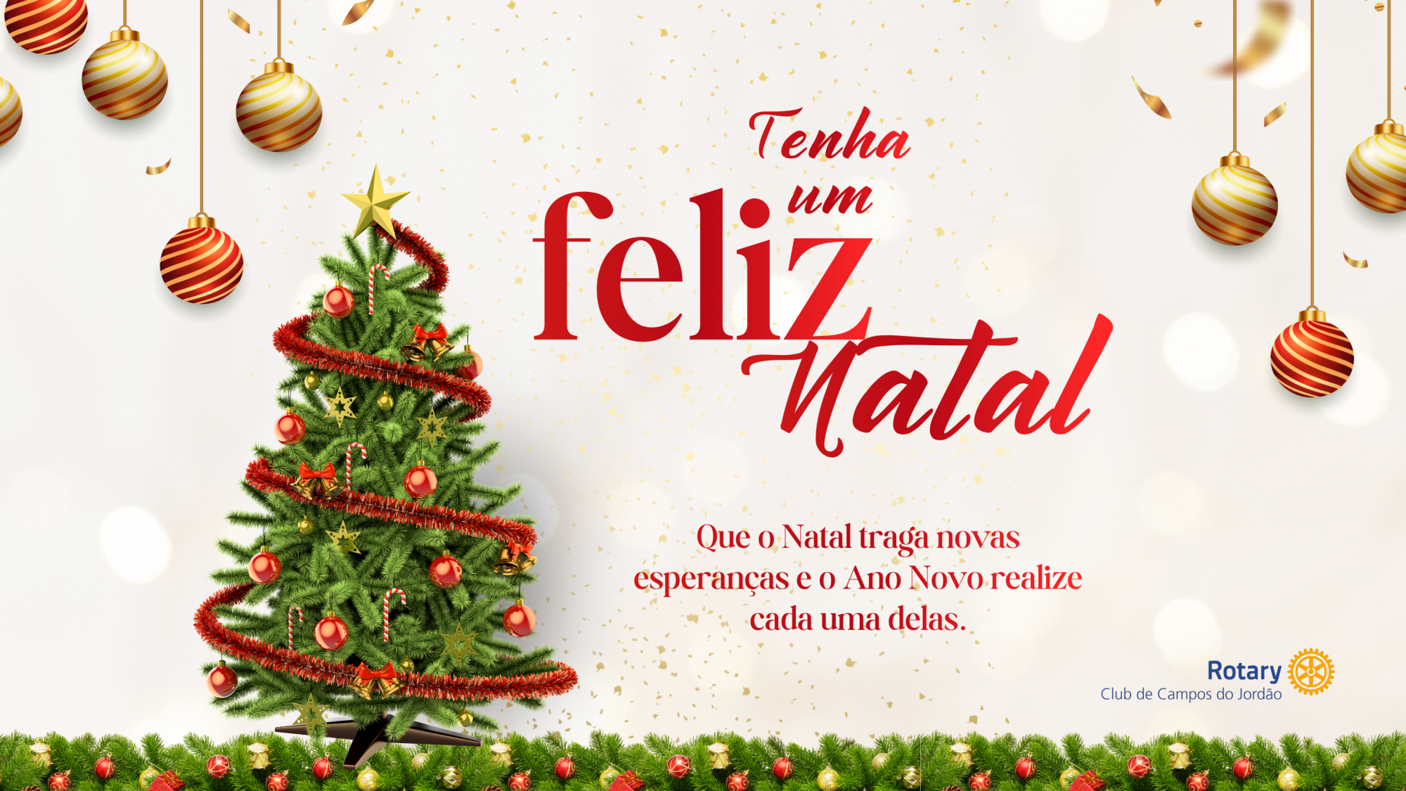 Notícia publicada por Lucia Rodrigues Alves, comissão de imagem pública