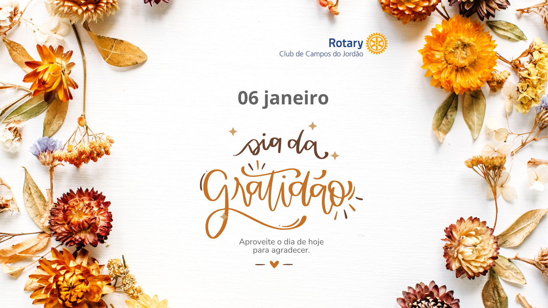 Notícia publicada por Lucia Rodrigues Alves, comissão de imagem pública