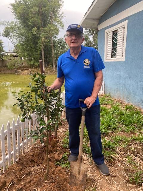 MAIS ÁRVORES PLANTADAS - MEIO AMBIENTE AGRADECE