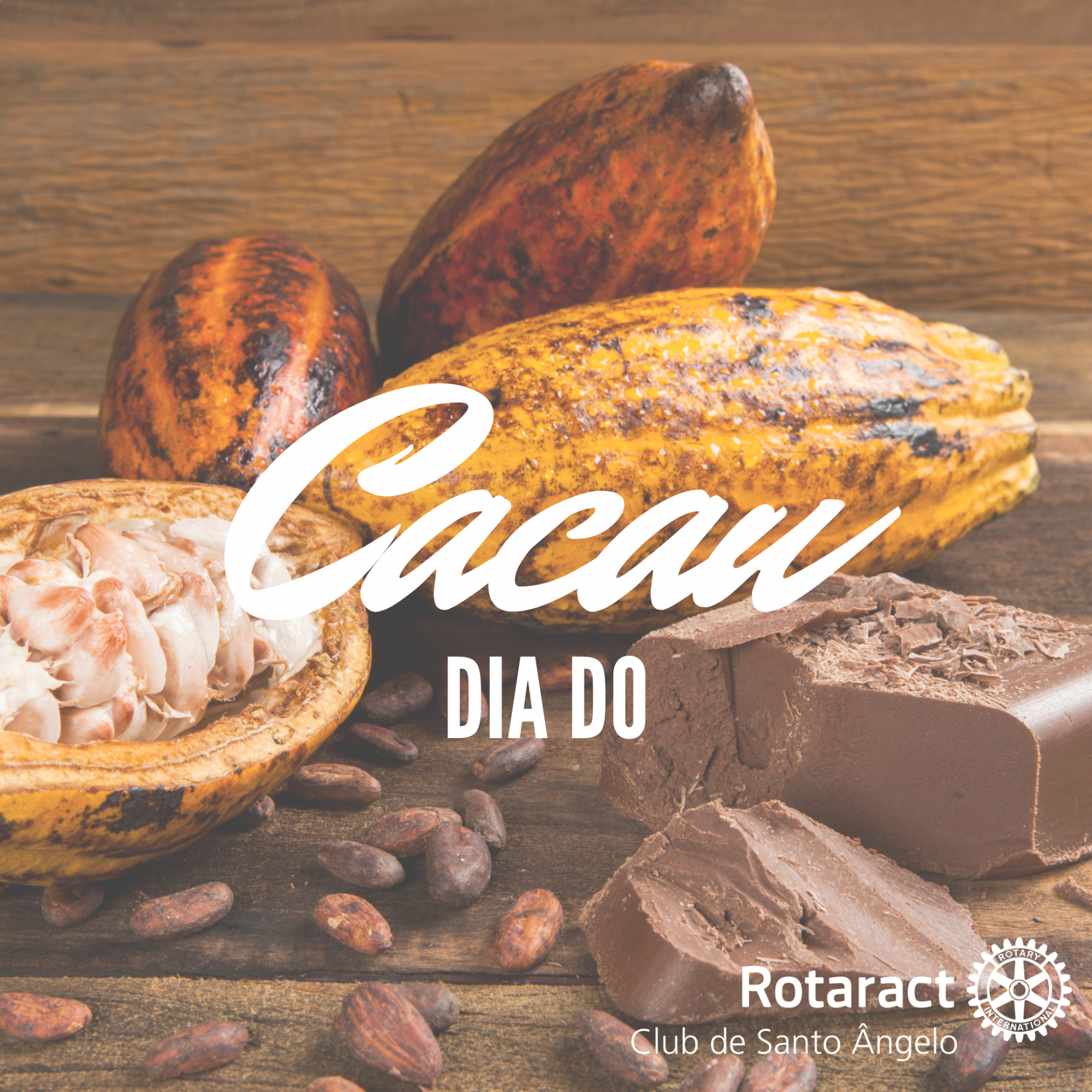 O cacau é uma fruta tipicamente brasileira, matéria prima do tão amado chocolate