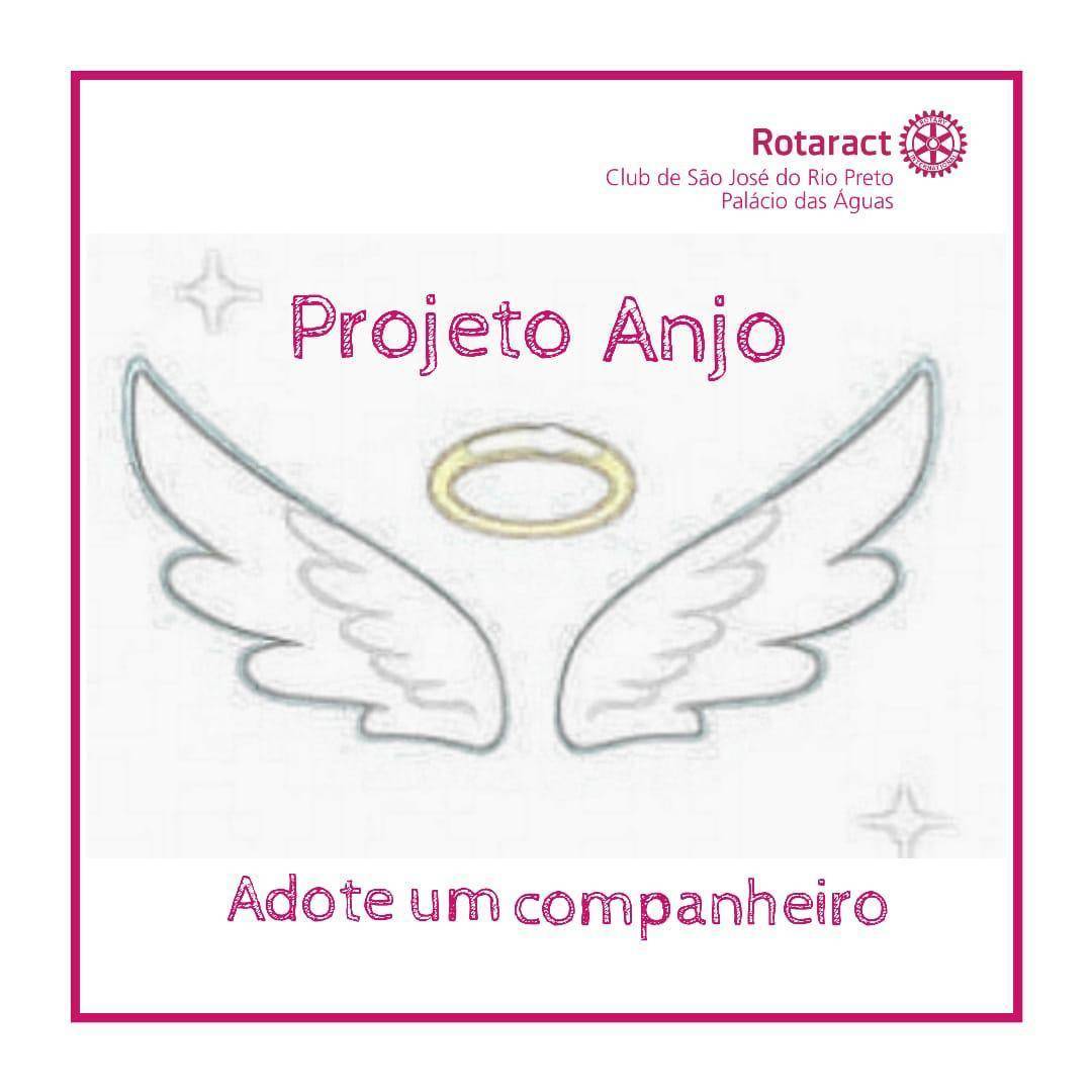 projeto anjo da guarda, adote um companheiro! conectando as pessoas rotary conecta o mundo