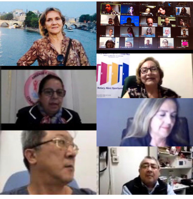 Reunião virtual via Zoom