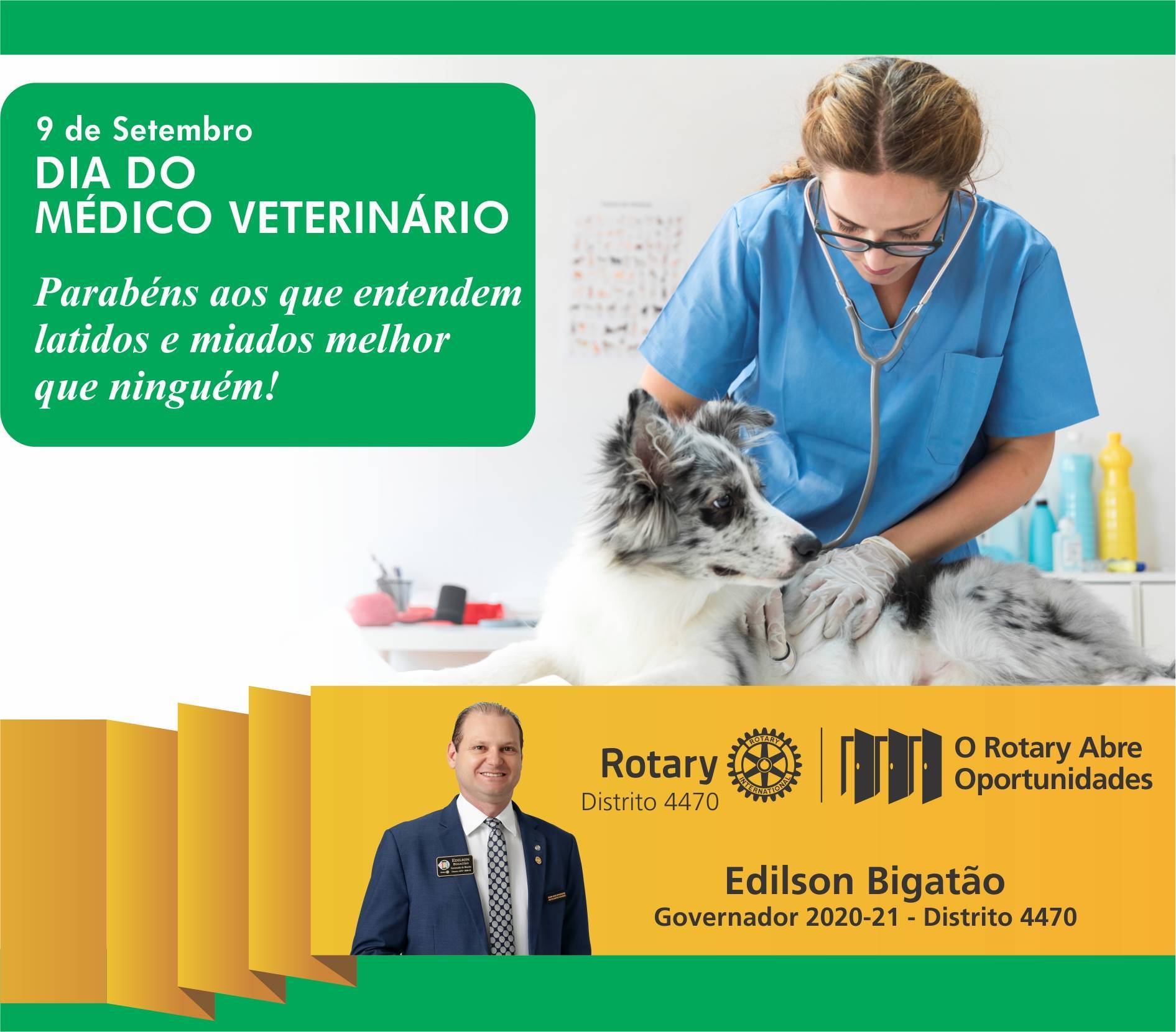Dia do Veterinário